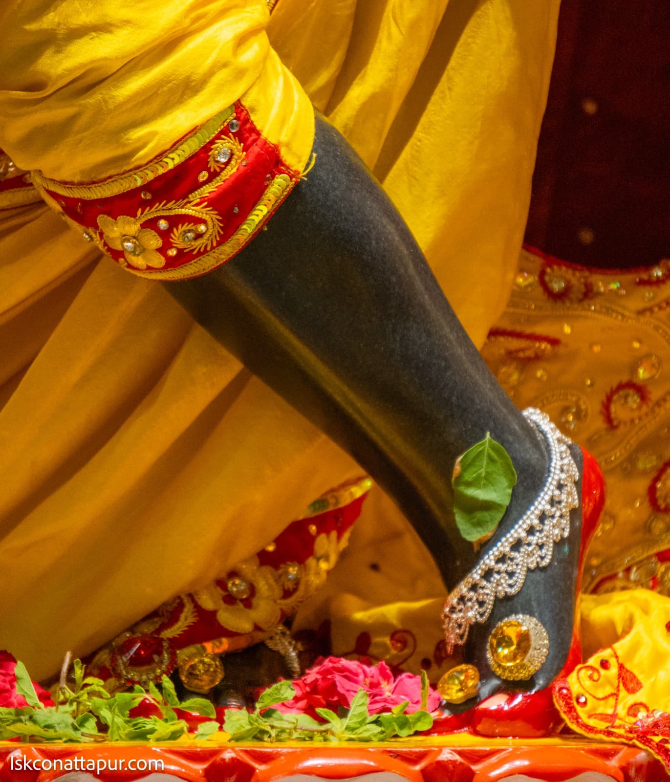 Sringar Darshan photo 2 of 6 — 14 August 2025