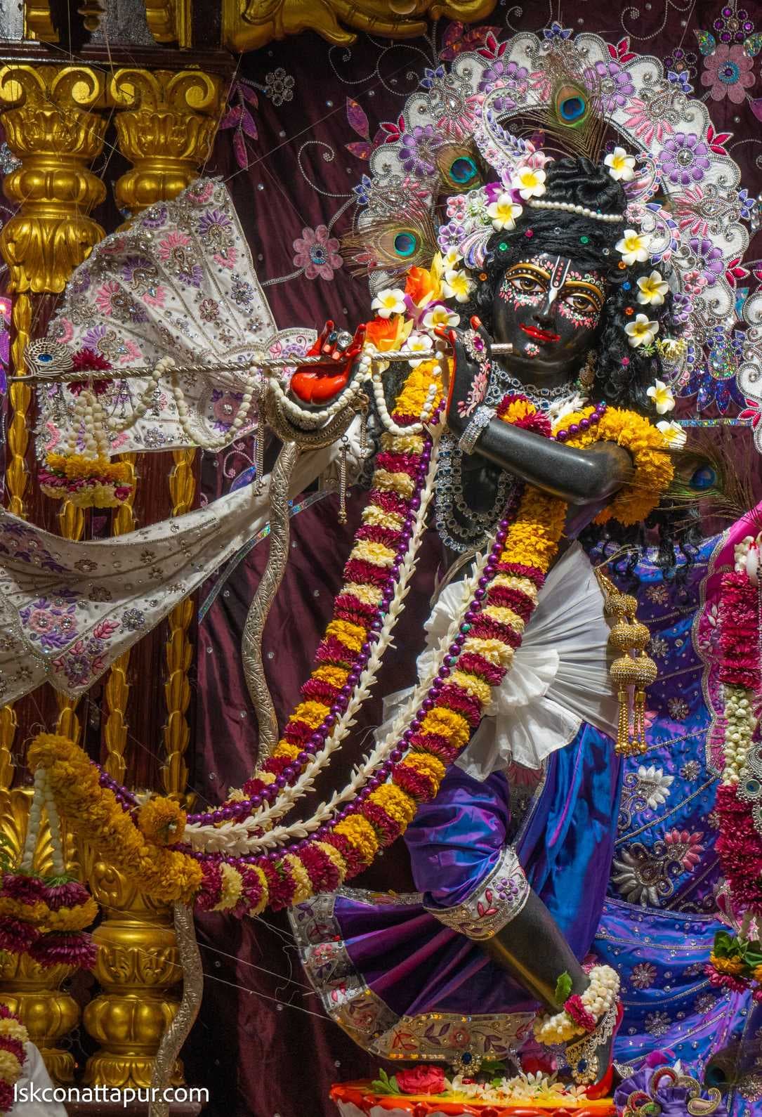 Sringar Darshan photo 5 of 10 — 15 August 2025