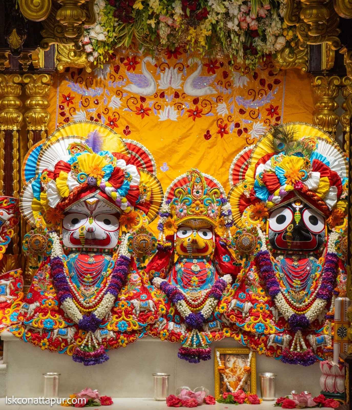 Sringar Darshan photo 11 of 12 — 19 August 2025