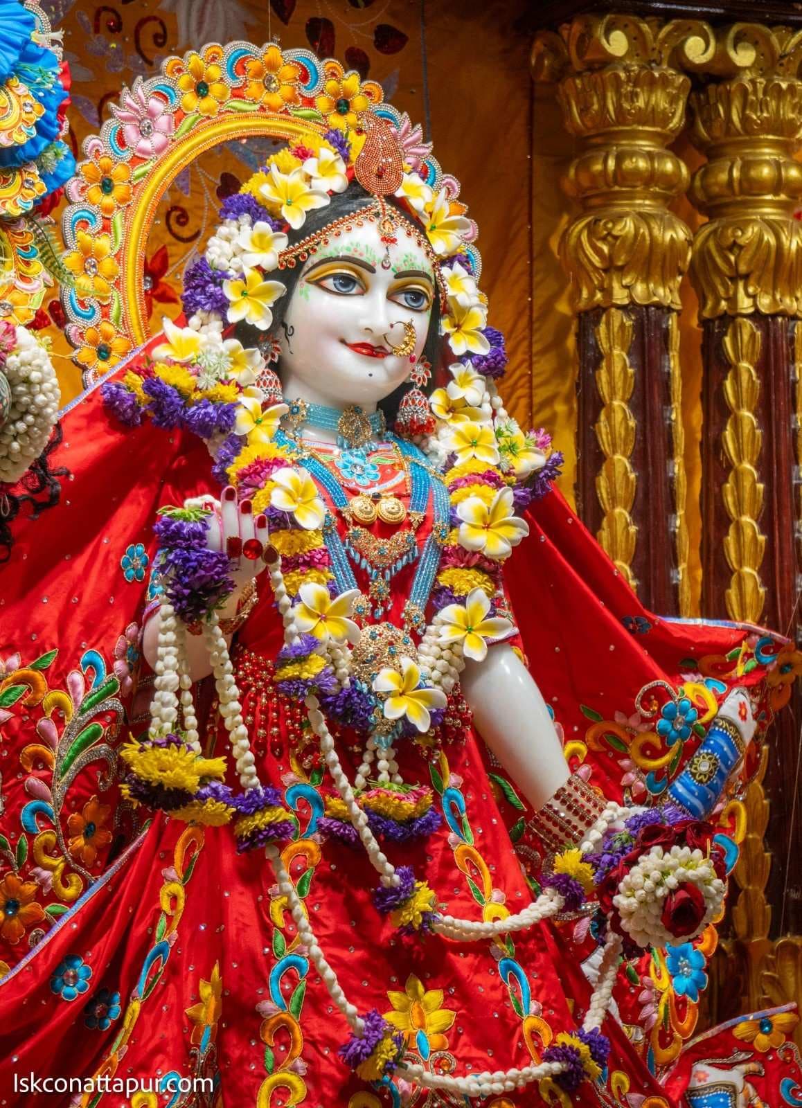 Sringar Darshan photo 8 of 12 — 19 August 2025