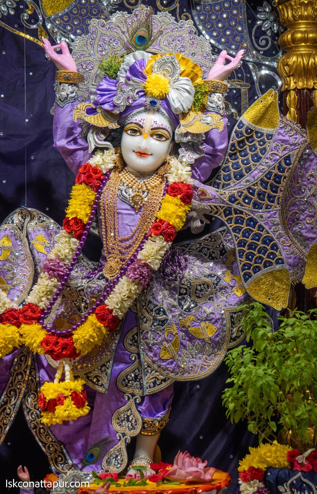 Sringar Darshan photo 10 of 10 — 24 August 2025
