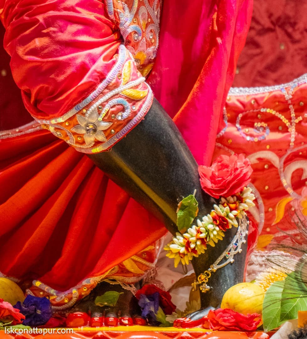 Sringar Darshan photo 3 of 6 — 26 August 2025