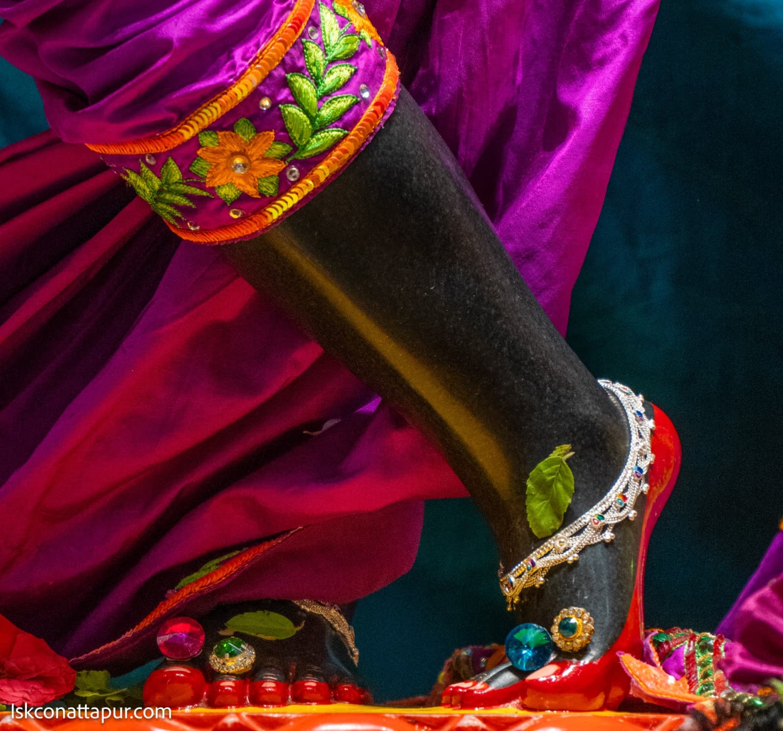 Sringar Darshan photo 5 of 6 — 28 August 2025