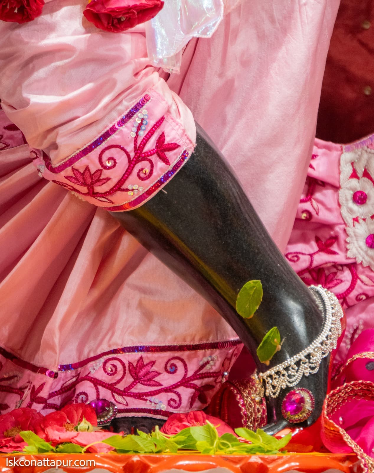 Sringar Darshan photo 4 of 6 — 2 September 2025