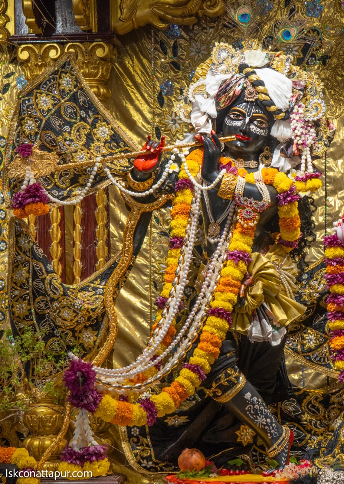 Sringar Darshan photo 2 of 12 — 21 September 2025