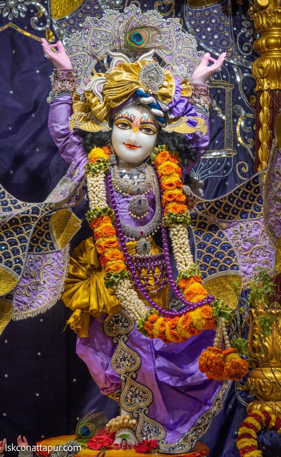Sringar Darshan photo 9 of 12 — 5 October 2025