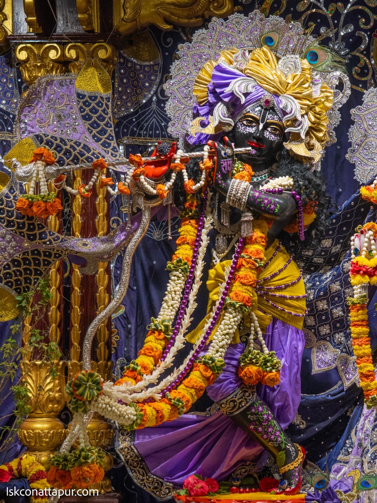 Sringar Darshan photo 4 of 12 — 5 October 2025