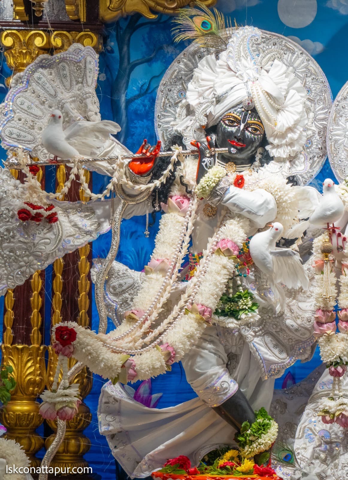 Sringar Darshan photo 4 of 14 — 7 October 2025