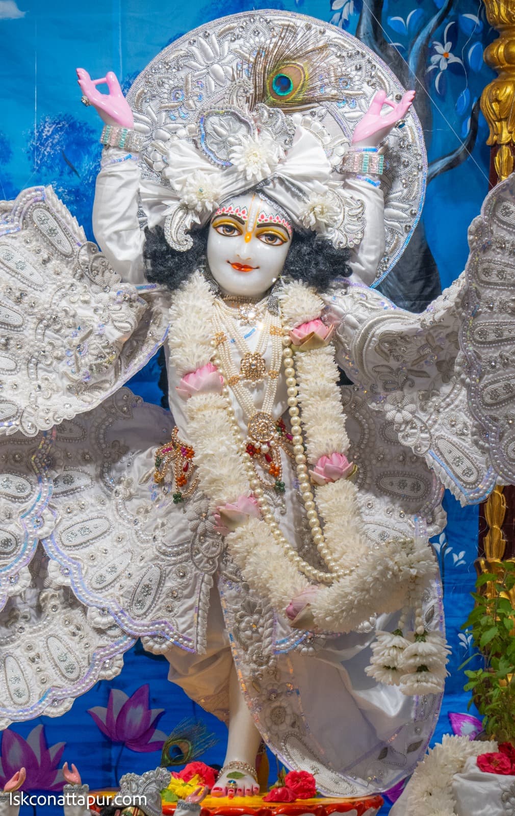 Sringar Darshan photo 9 of 14 — 7 October 2025
