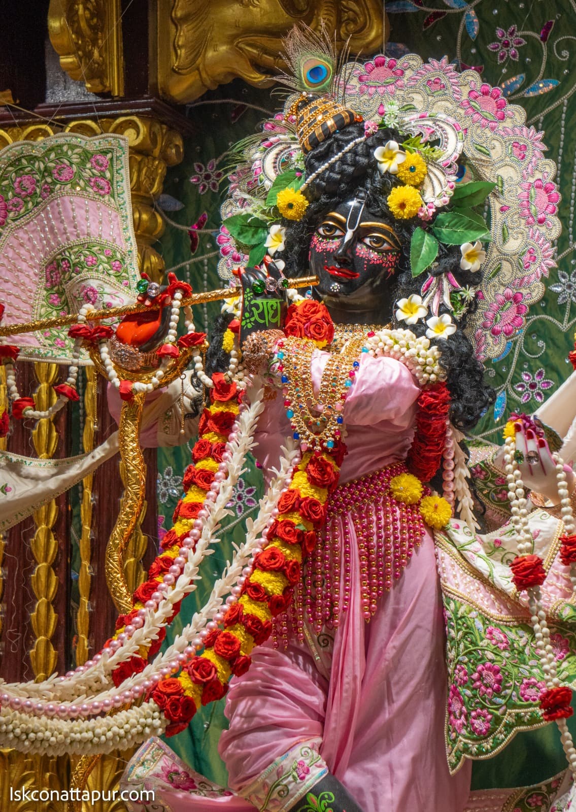 Sringar Darshan photo 7 of 12 — 19 October 2025