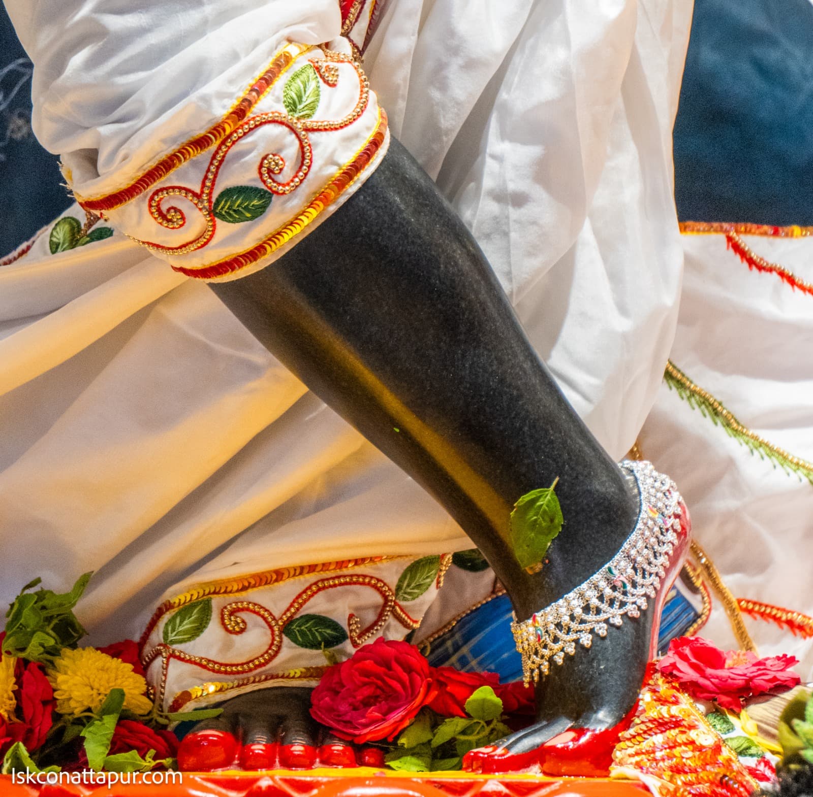 Sringar Darshan photo 6 of 6 — 20 October 2025