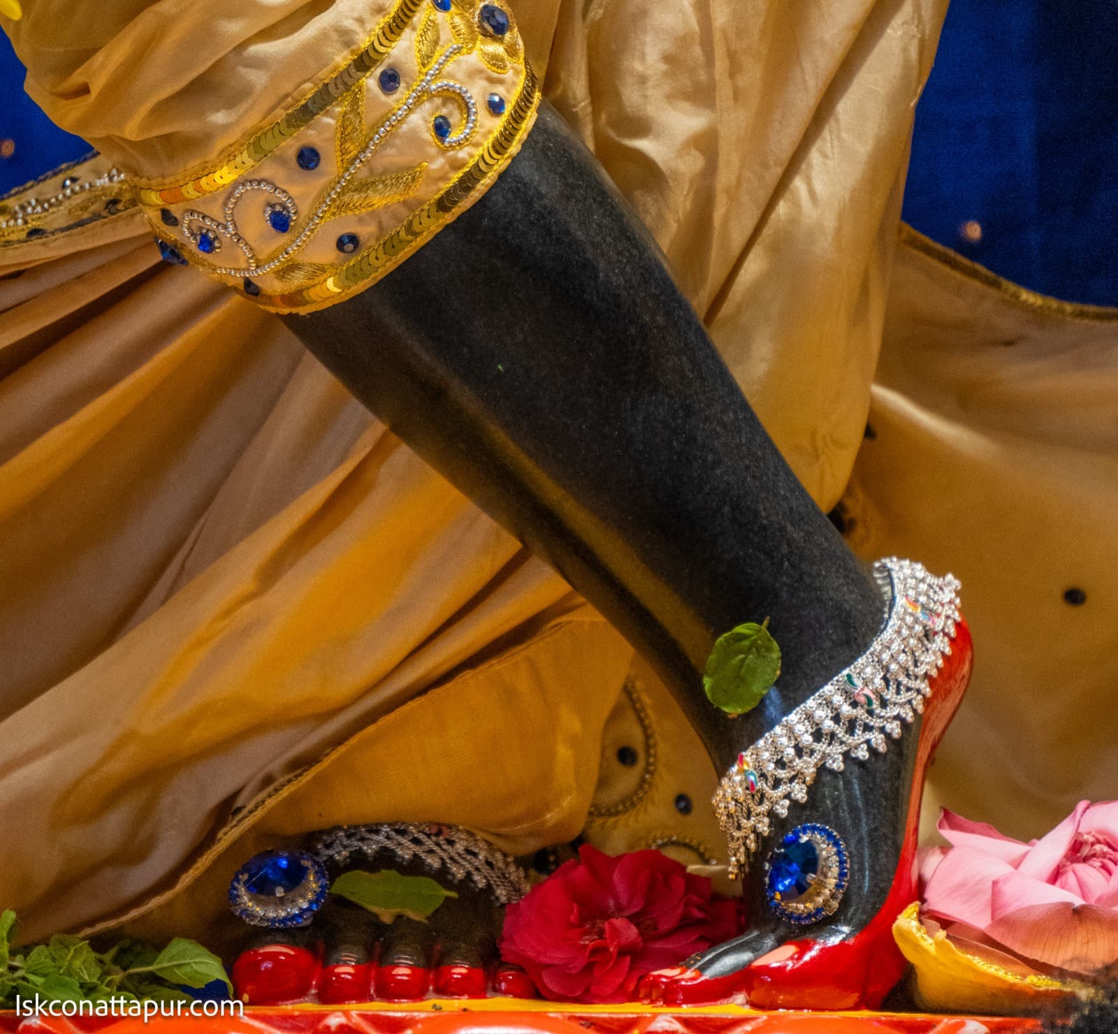 Sringar Darshan photo 6 of 6 — 27 October 2025