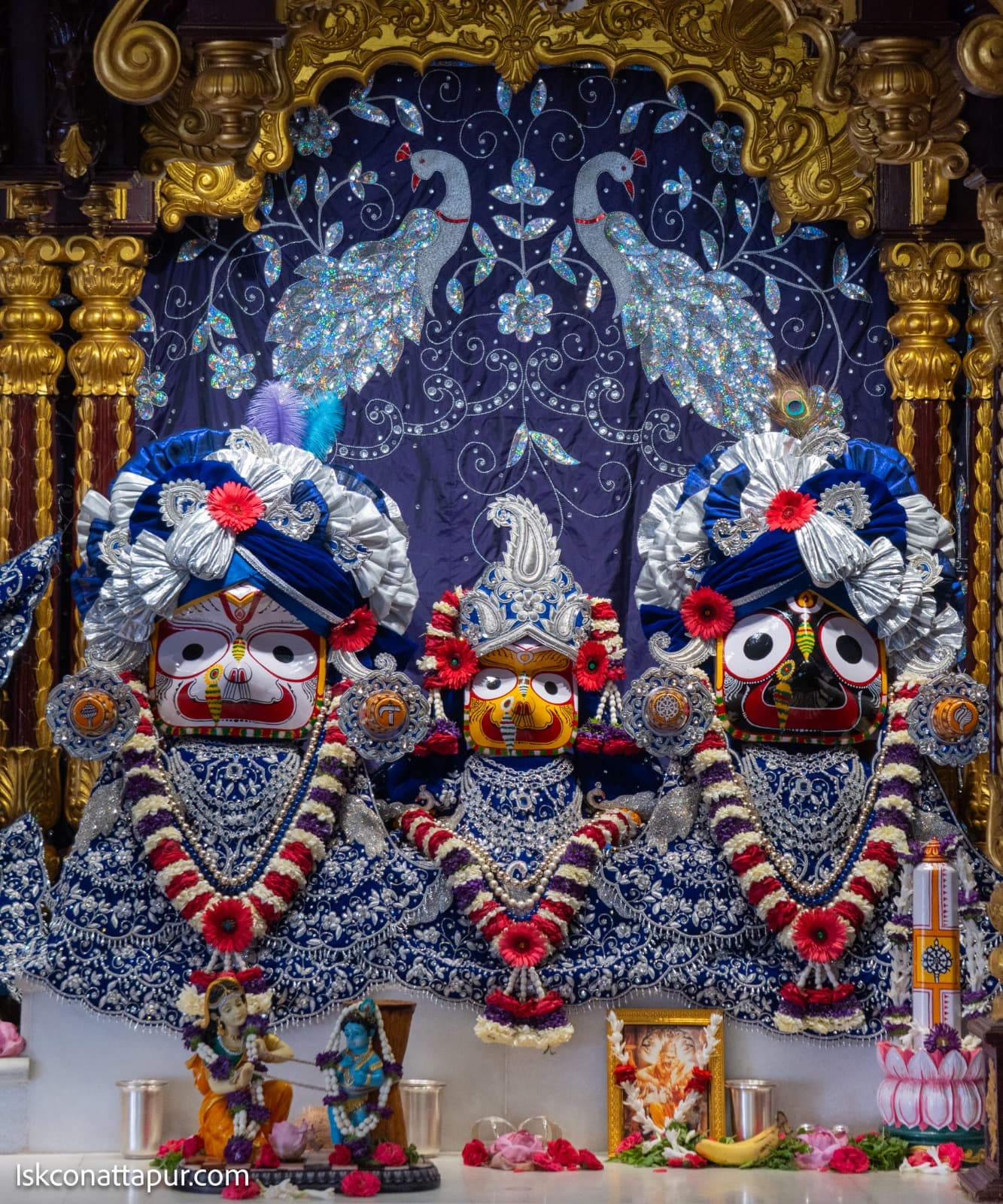 Sringar Darshan photo 2 of 6 — 31 October 2025