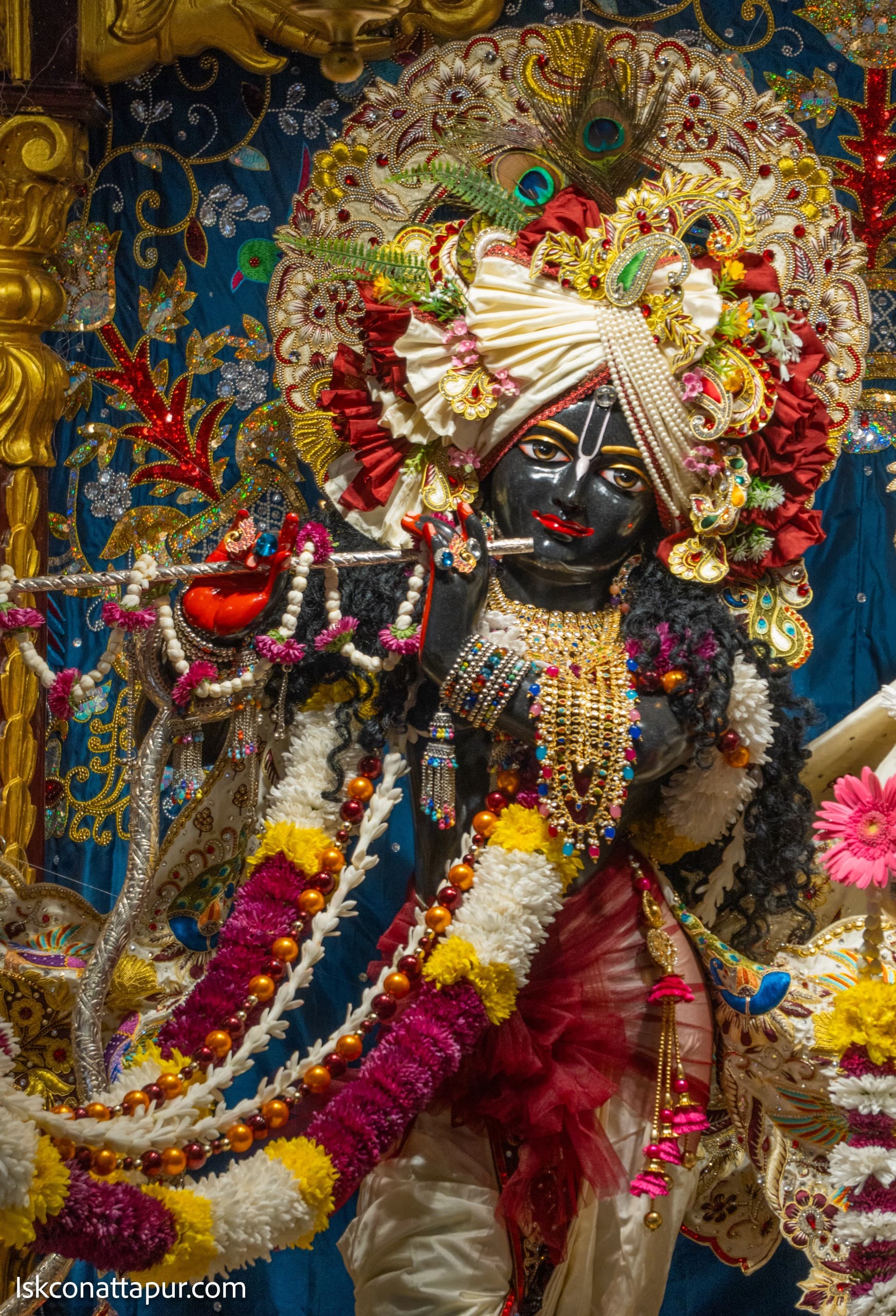 Sringar Darshan photo 4 of 8 — 3 November 2025