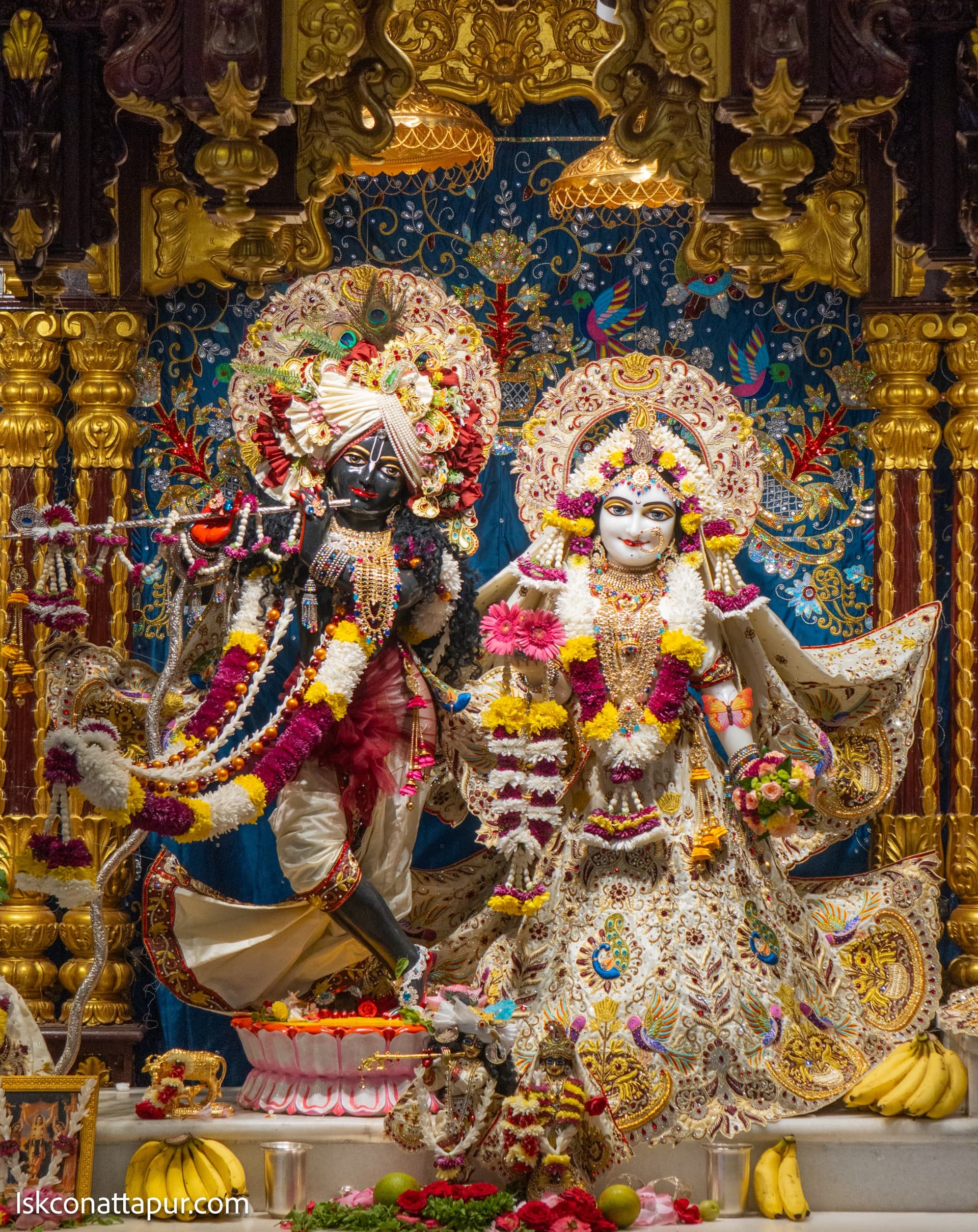 Sringar Darshan photo 1 of 8 — 3 November 2025