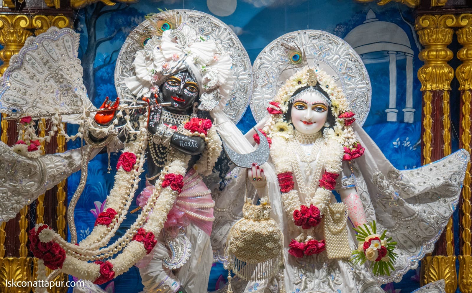 Sringar Darshan photo 2 of 9 — 5 November 2025