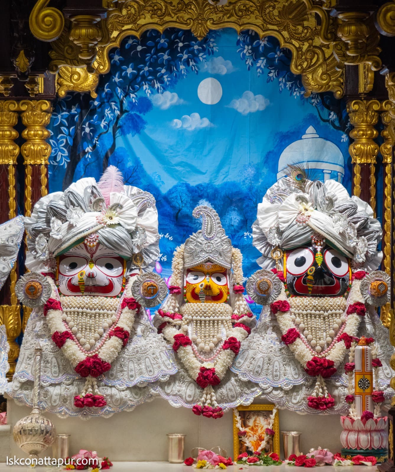 Sringar Darshan photo 4 of 9 — 5 November 2025