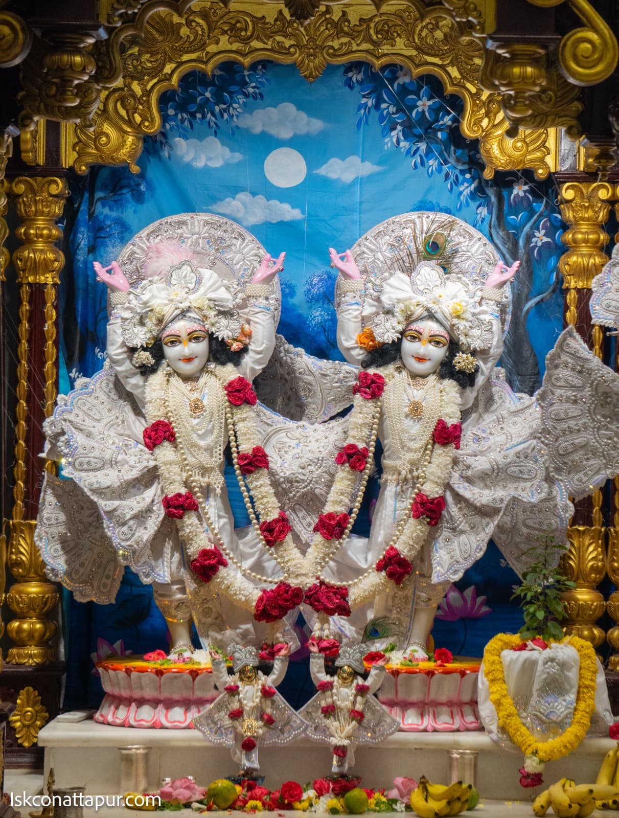 Sringar Darshan photo 7 of 9 — 5 November 2025