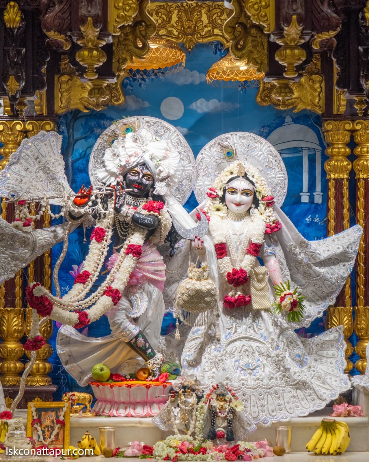 Sringar Darshan photo 1 of 9 — 5 November 2025