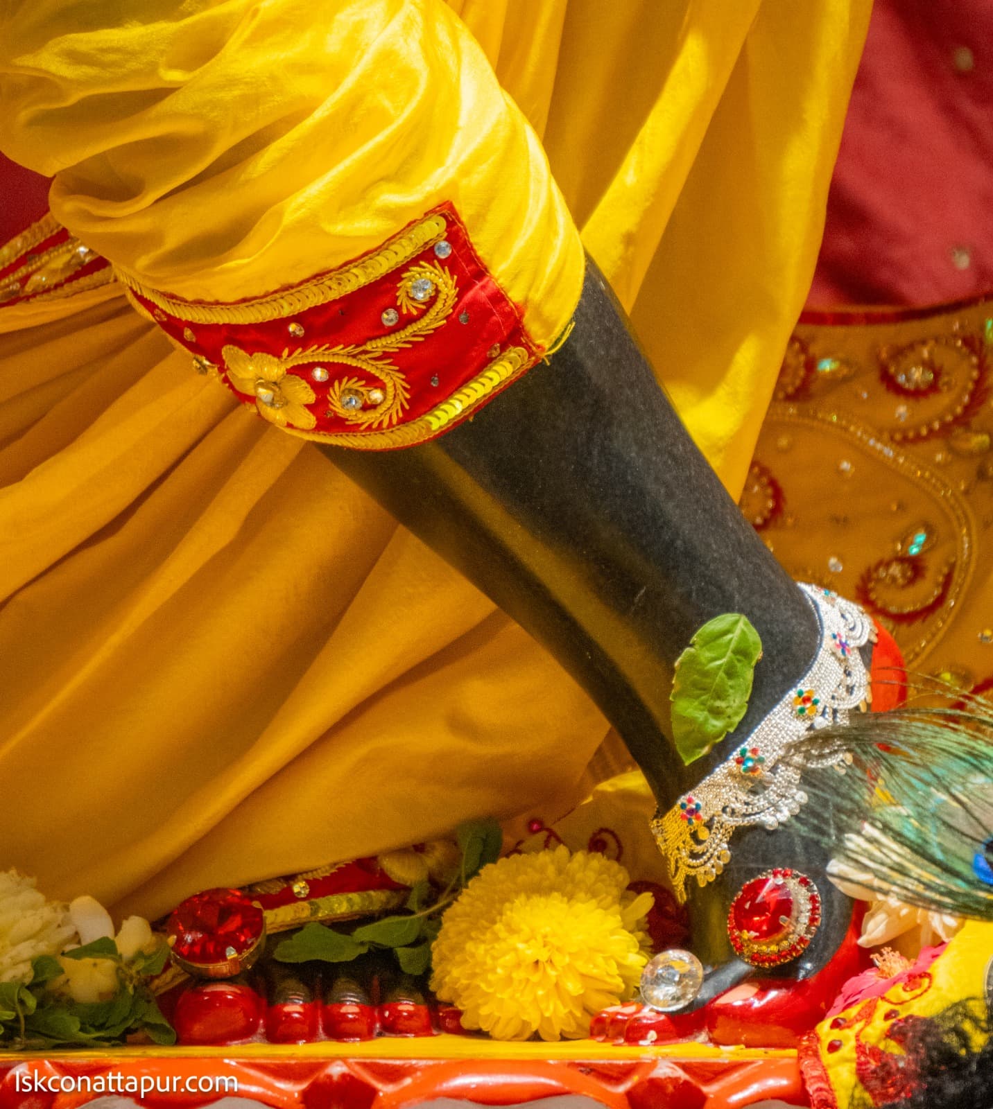 Sringar Darshan photo 5 of 6 — 6 November 2025
