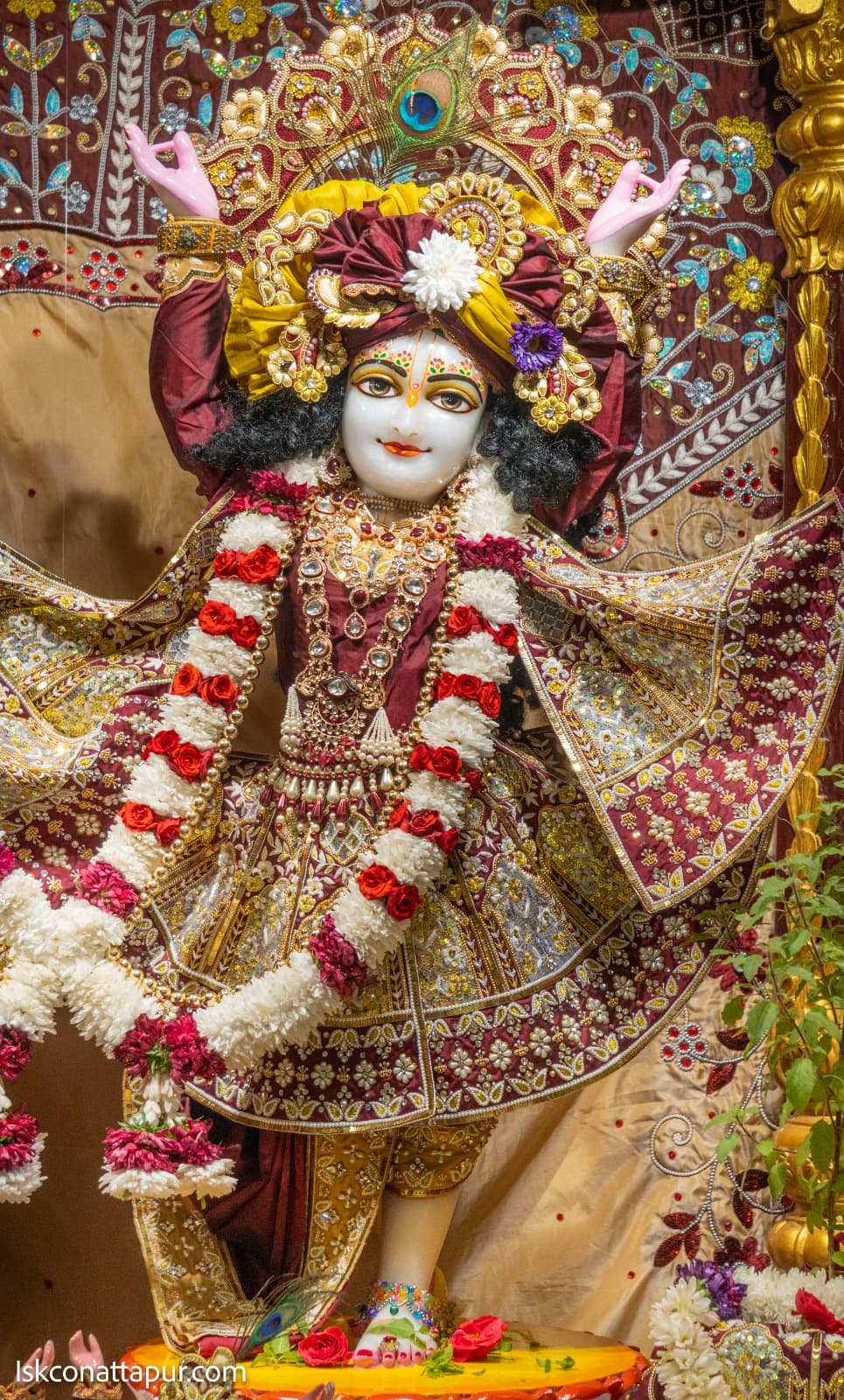 Sringar Darshan photo 10 of 12 — 9 November 2025