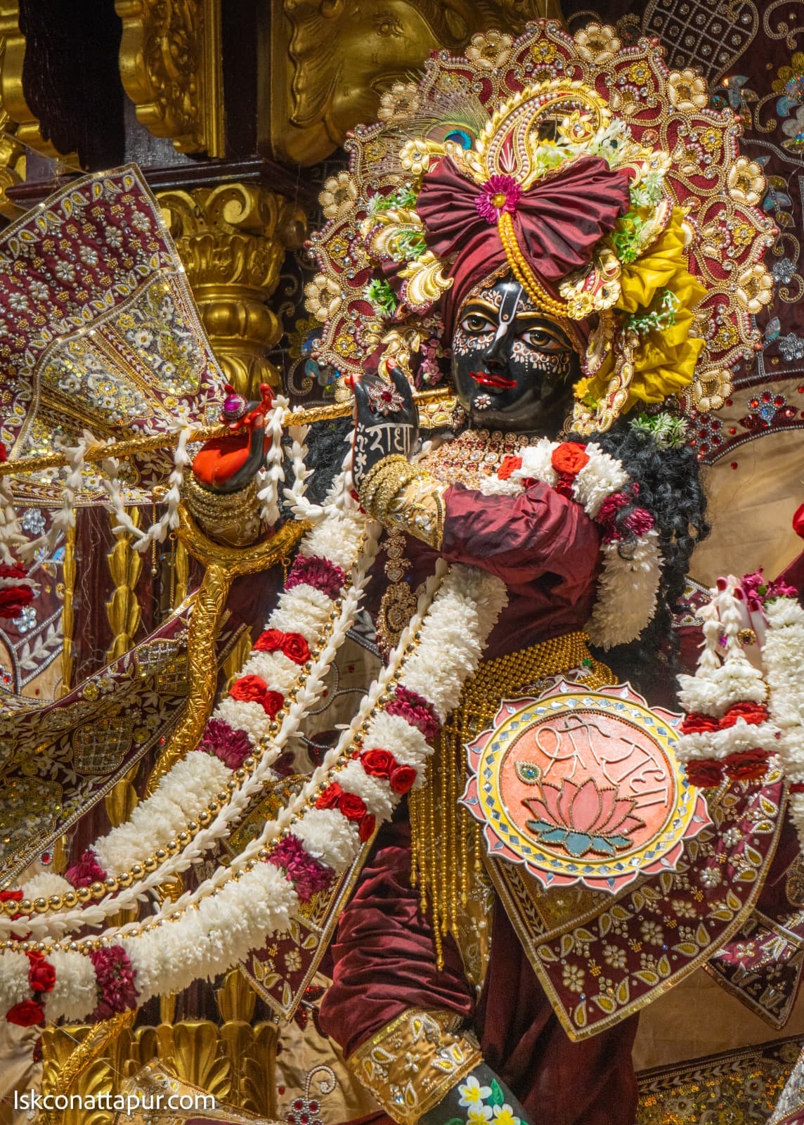 Sringar Darshan photo 8 of 12 — 9 November 2025