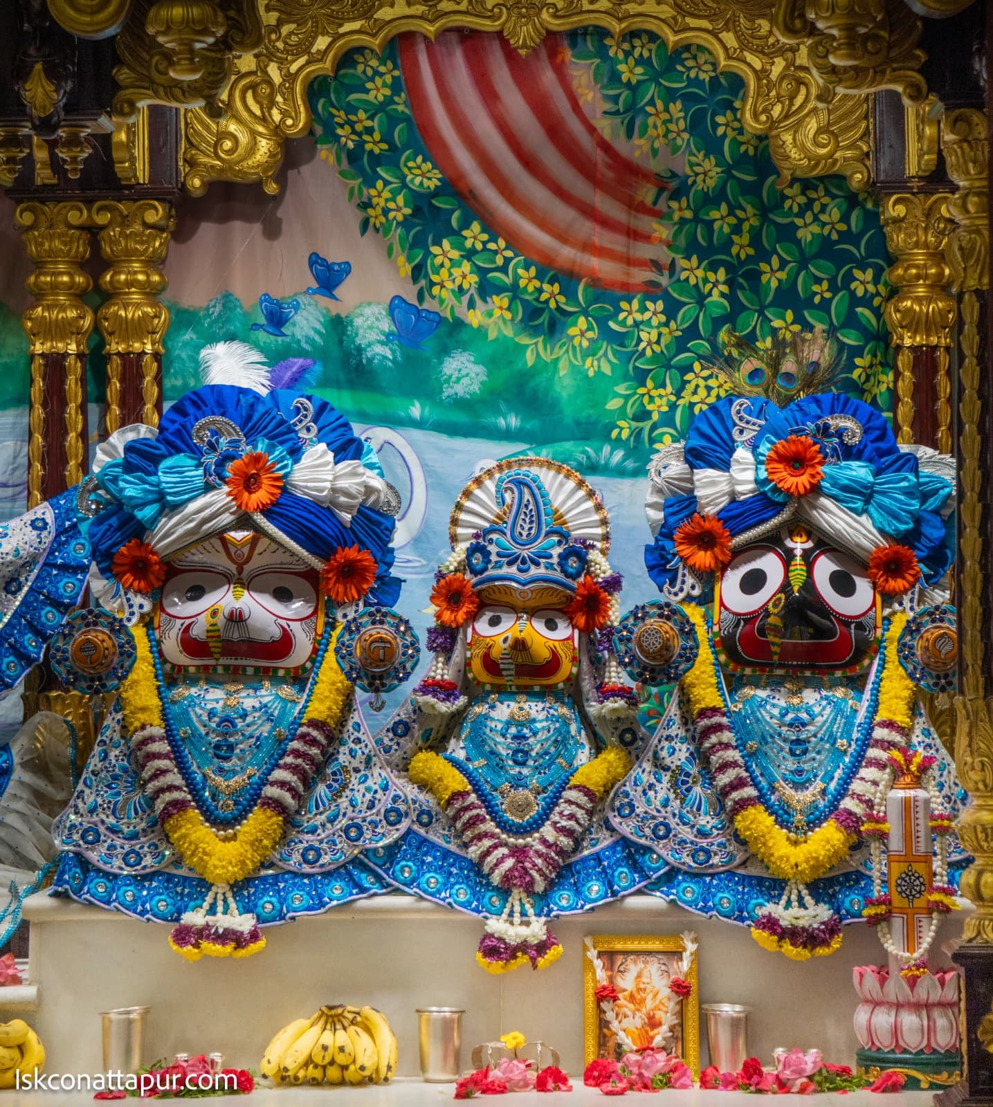 Sringar Darshan photo 3 of 6 — 10 November 2025