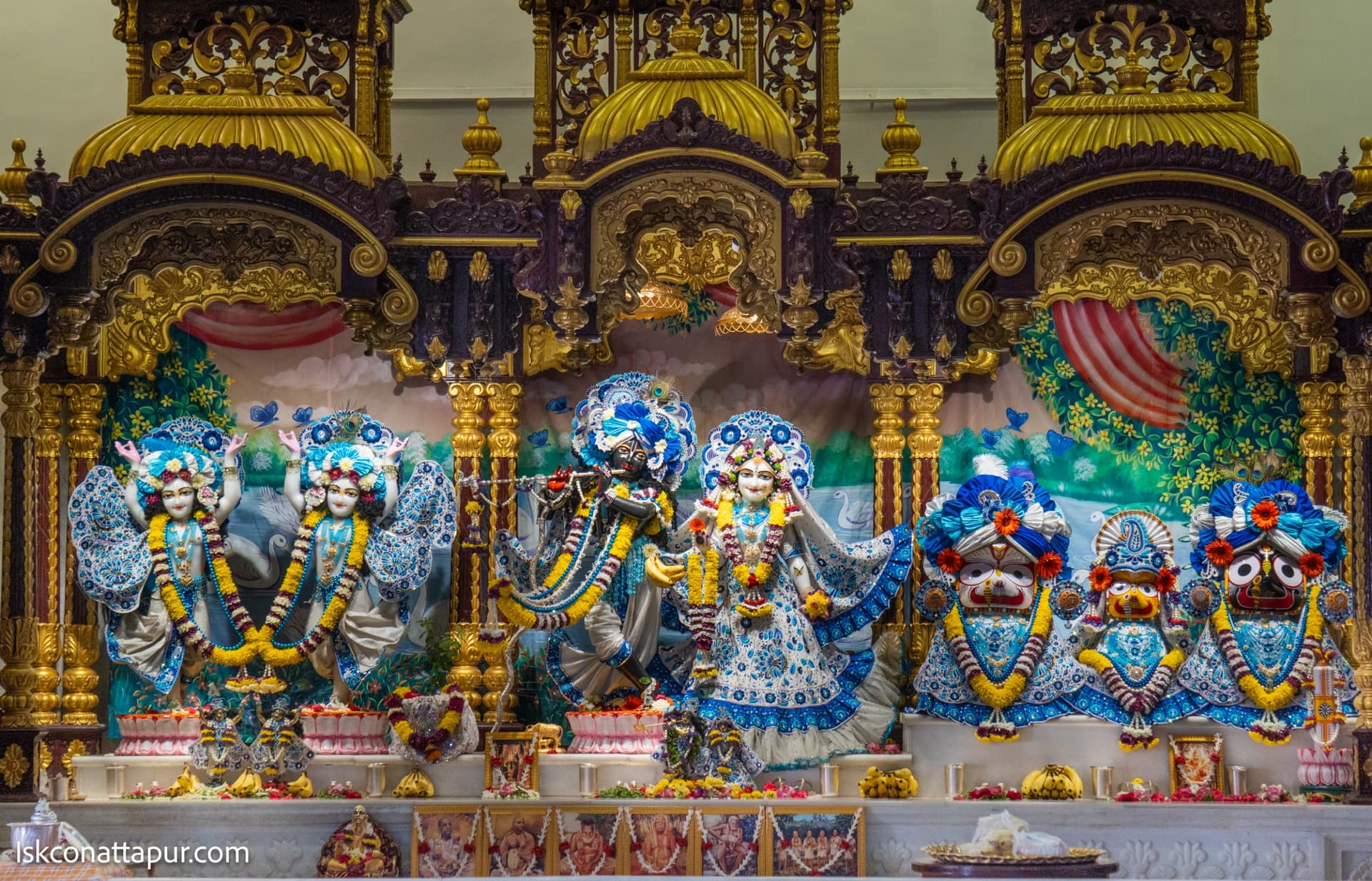 Sringar Darshan photo 2 of 6 — 10 November 2025