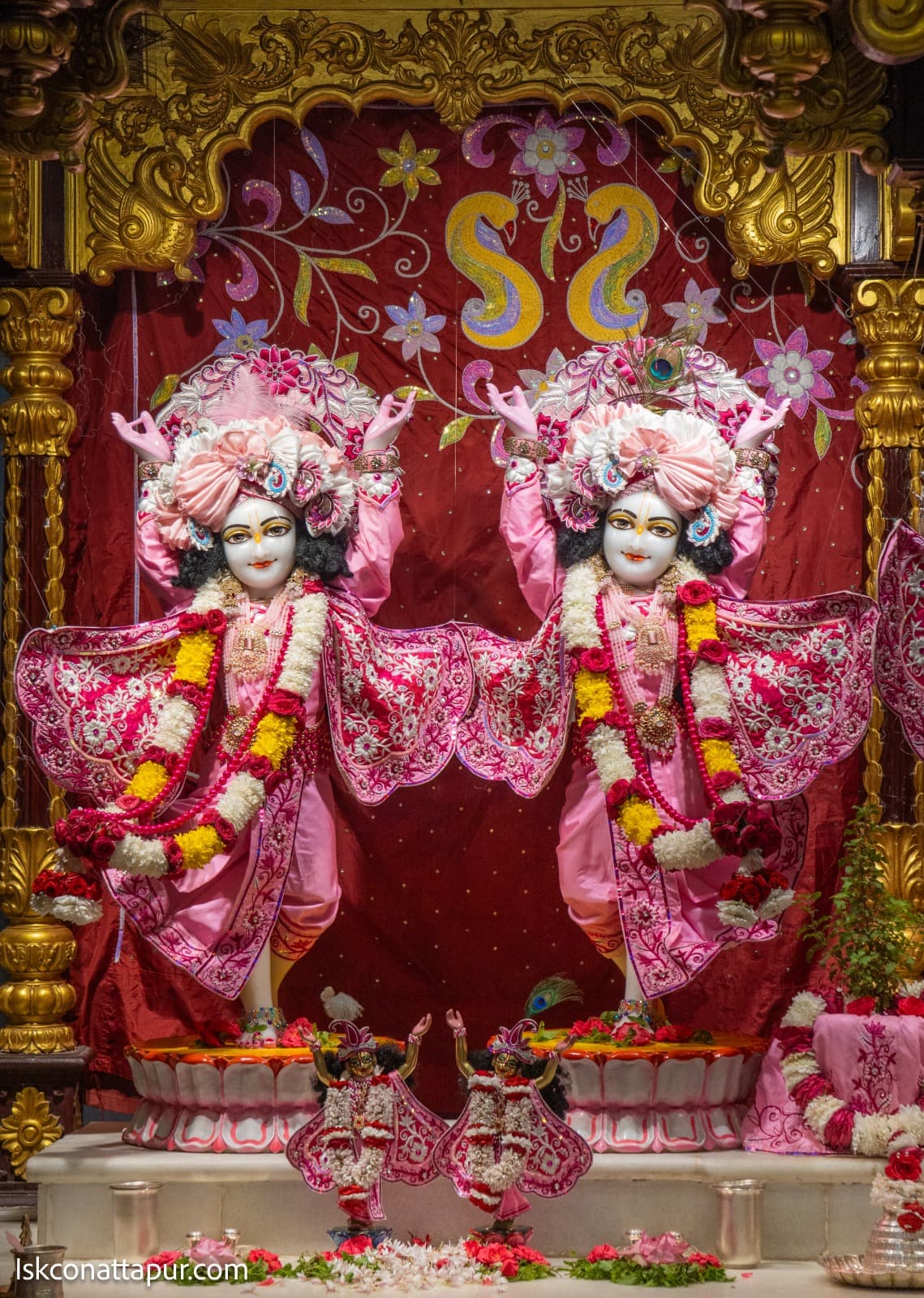 Sringar Darshan photo 5 of 6 — 11 November 2025