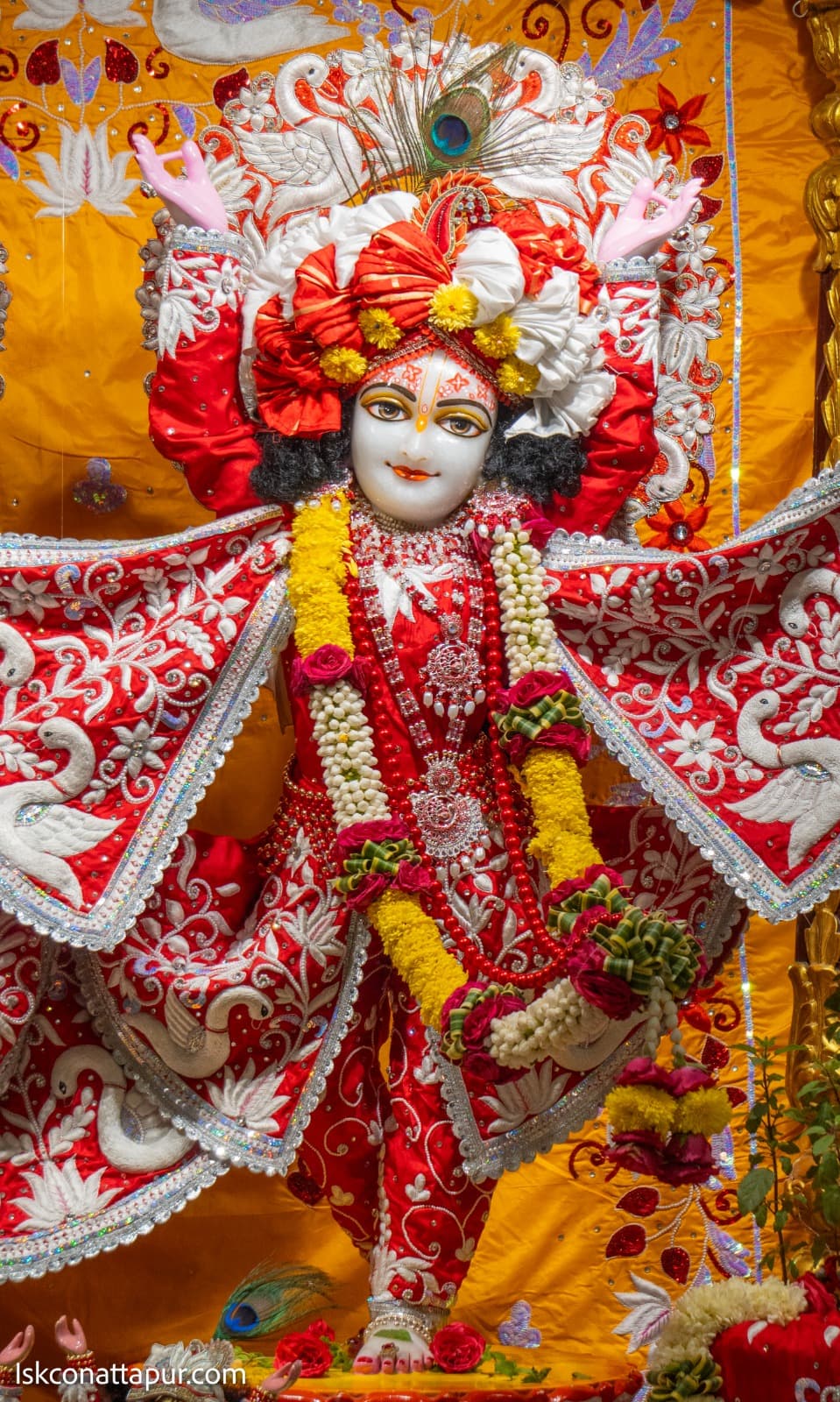 Sringar Darshan photo 13 of 13 — 15 November 2025