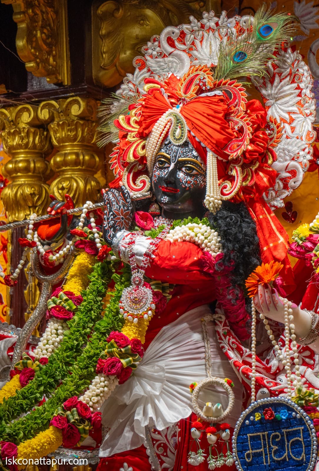 Sringar Darshan photo 8 of 13 — 15 November 2025