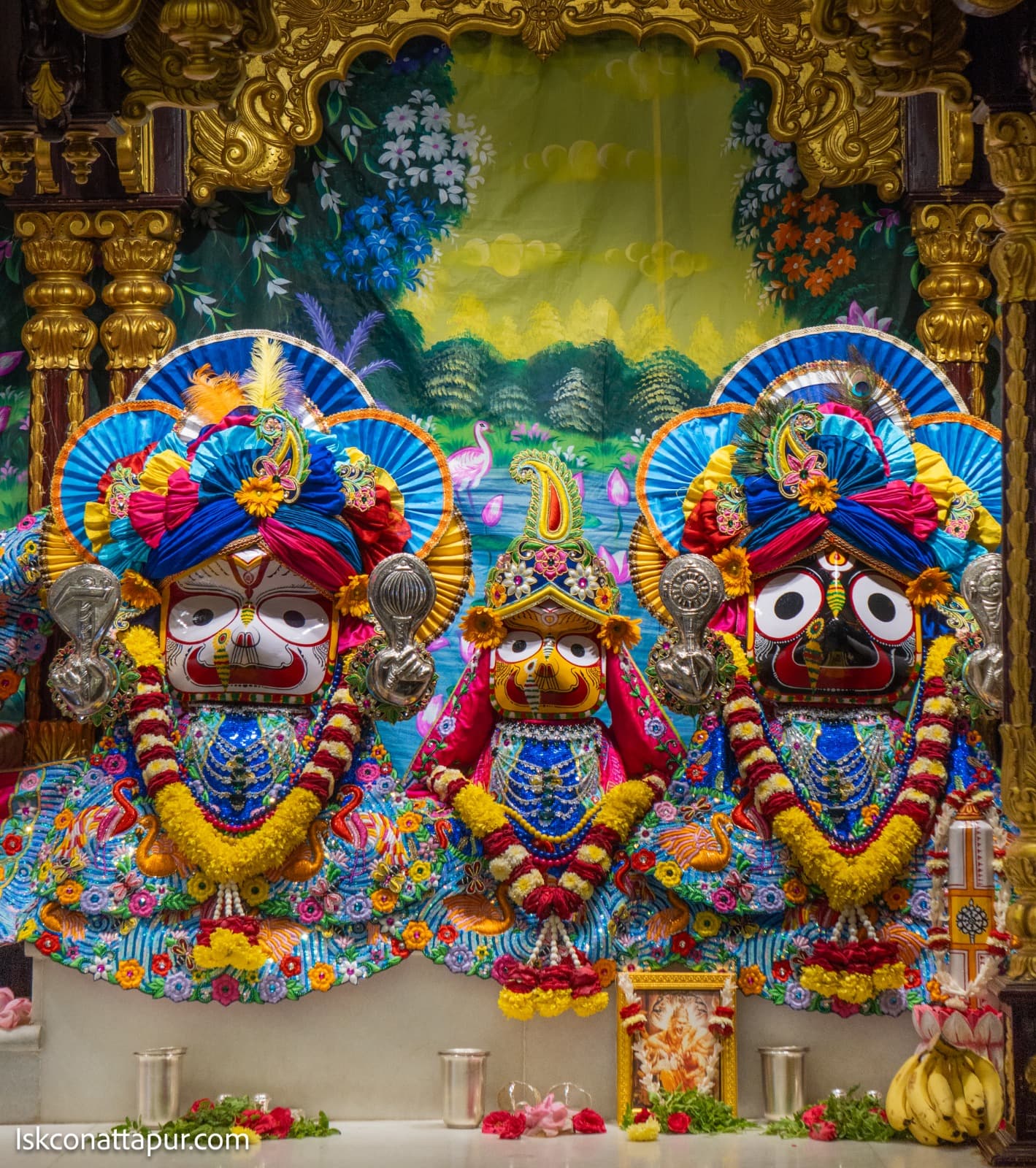 Sringar Darshan photo 5 of 12 — 16 November 2025
