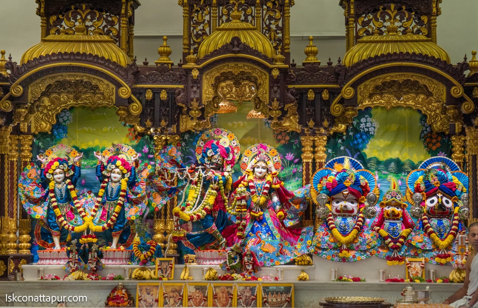 Sringar Darshan photo 10 of 12 — 16 November 2025
