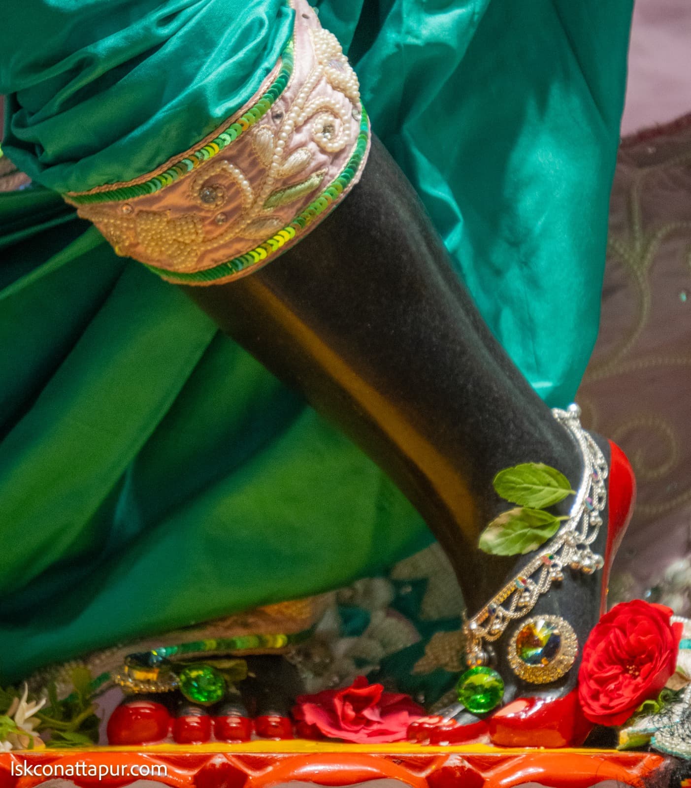 Sringar Darshan photo 4 of 6 — 19 November 2025