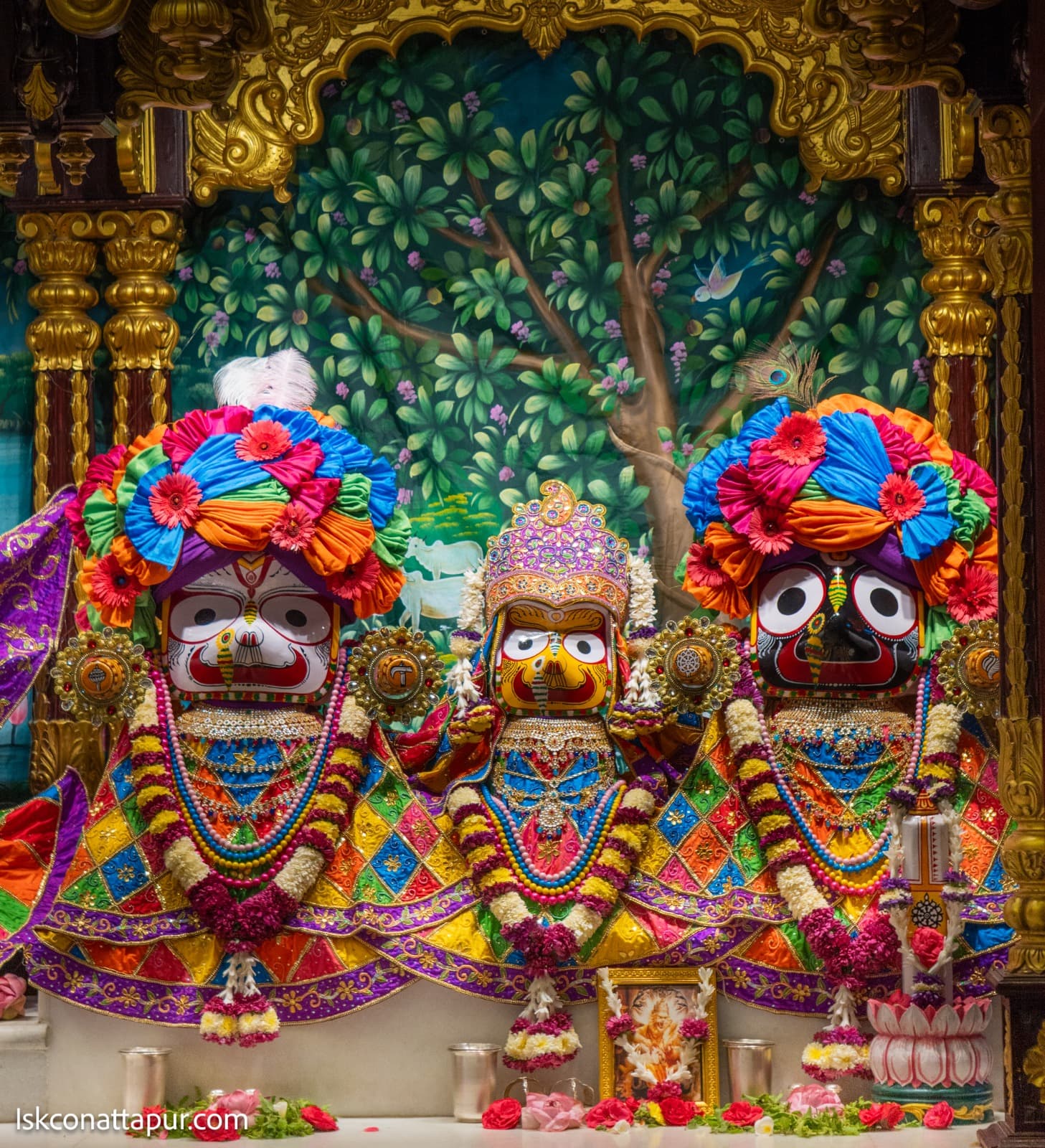 Sringar Darshan photo 3 of 6 — 22 November 2025