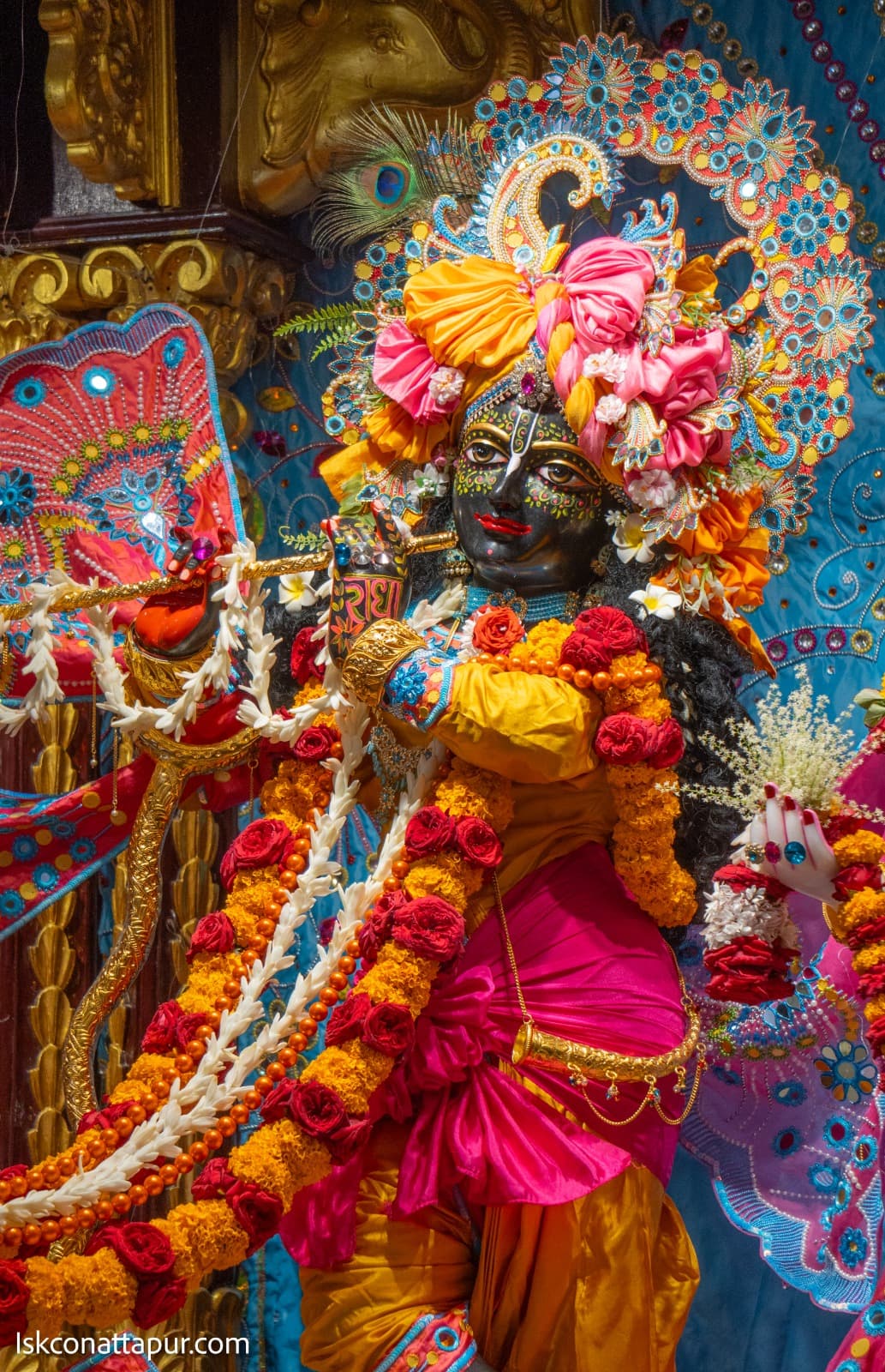 Sringar Darshan photo 9 of 13 — 23 November 2025
