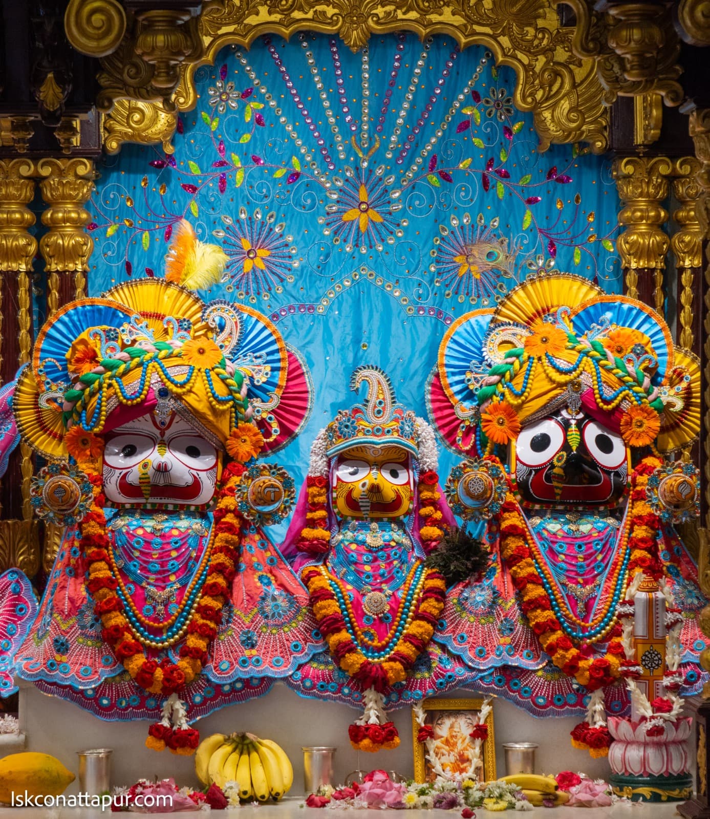 Sringar Darshan photo 7 of 13 — 23 November 2025