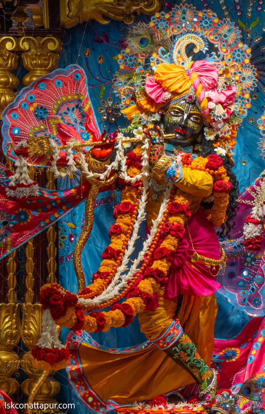 Sringar Darshan photo 8 of 13 — 23 November 2025