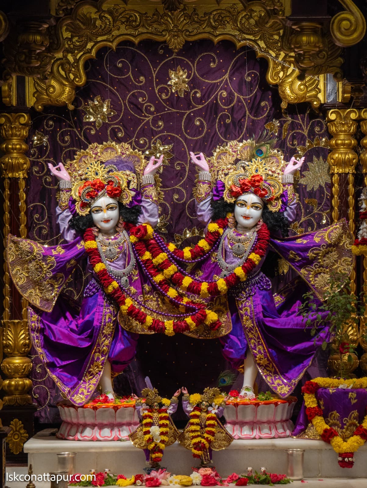 Sringar Darshan photo 5 of 6 — 24 November 2025