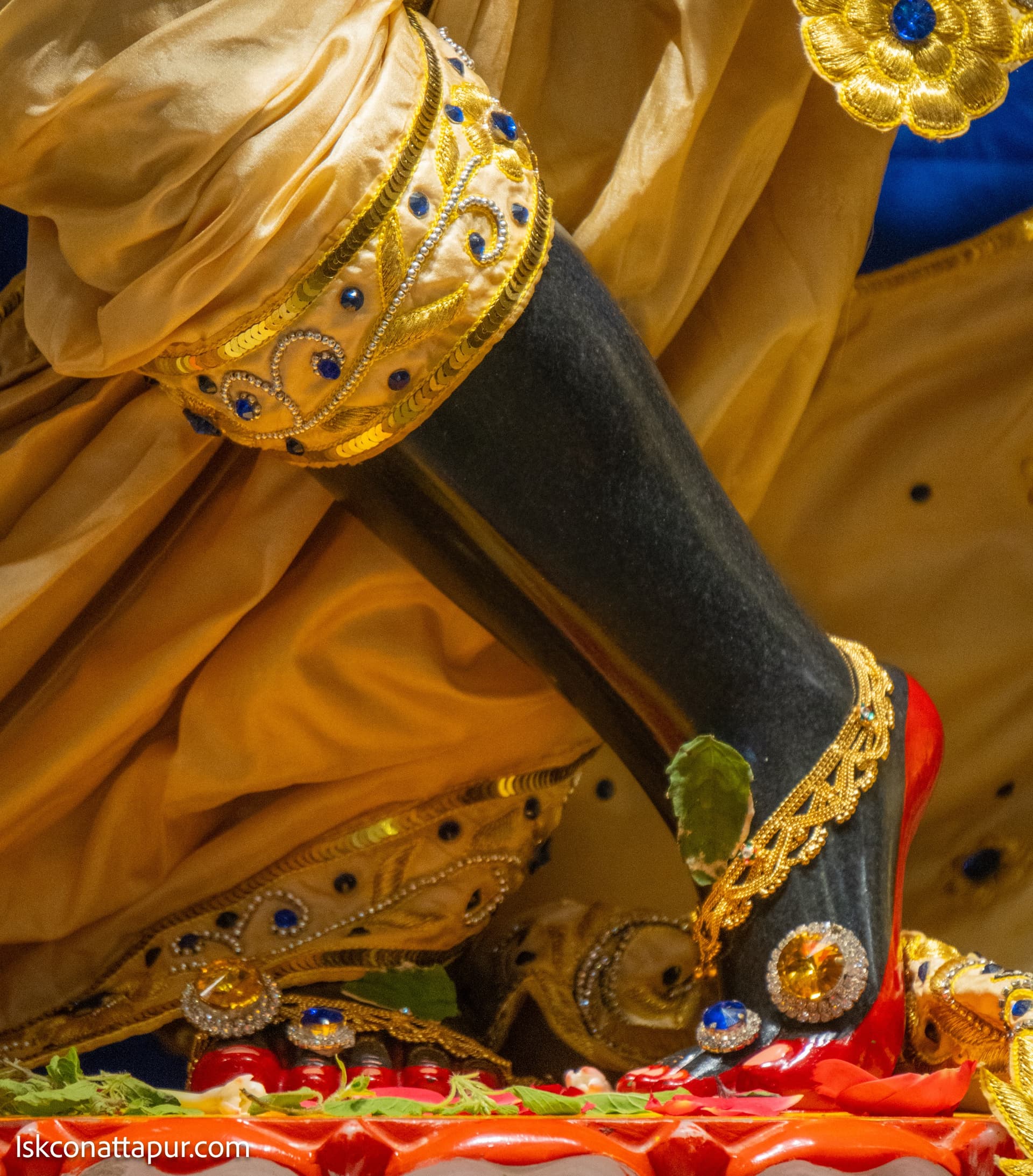 Sringar Darshan photo 2 of 6 — 29 November 2025