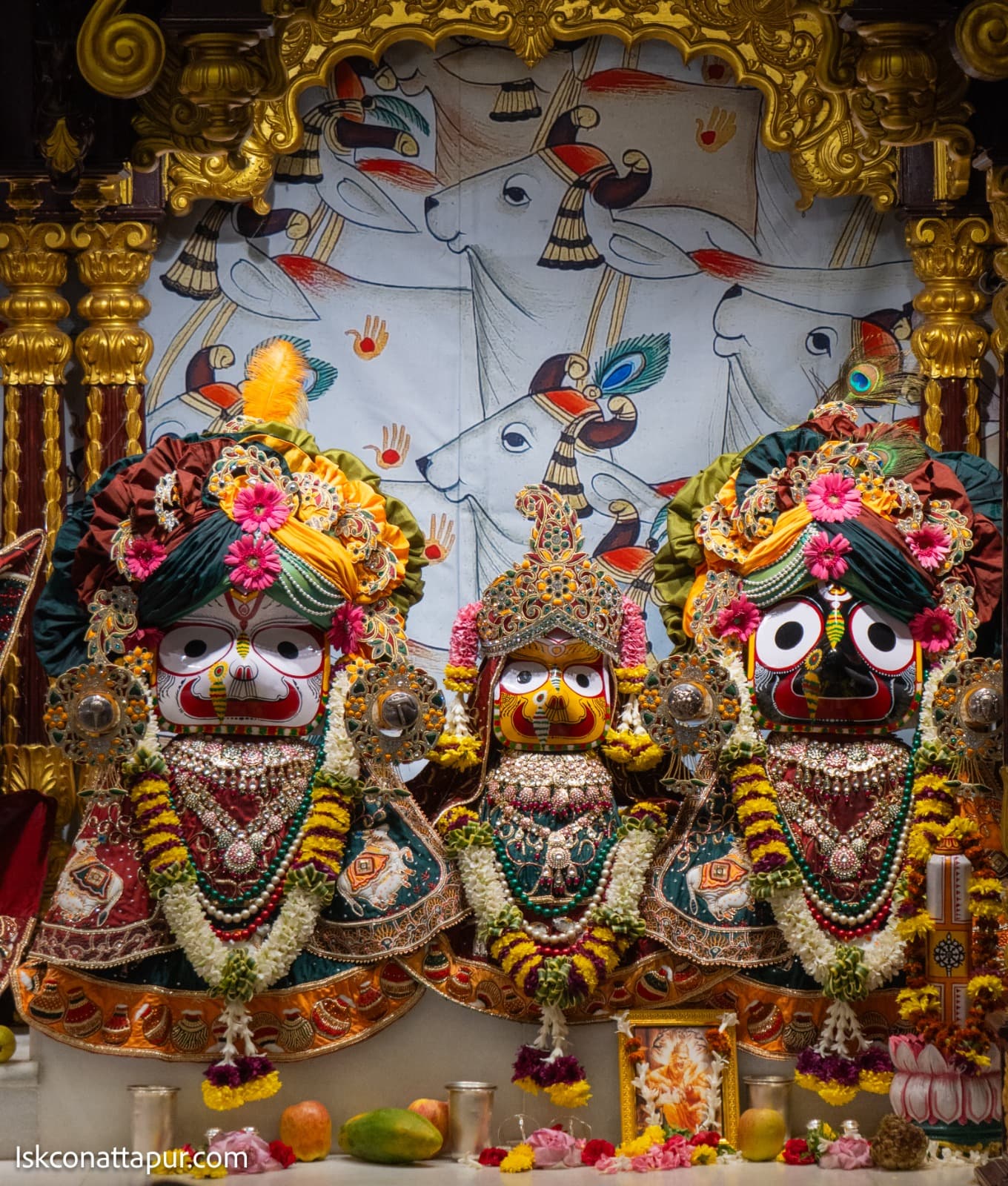 Sringar Darshan photo 2 of 13 — 30 November 2025