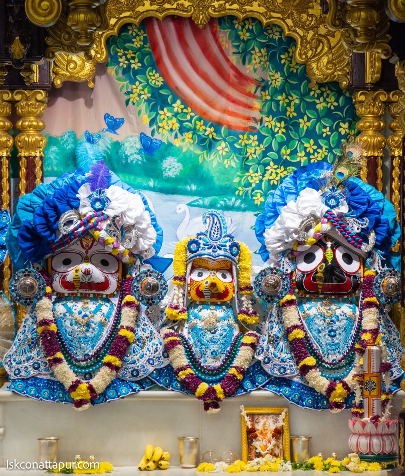 Sringar Darshan photo 6 of 6 — 8 December 2025