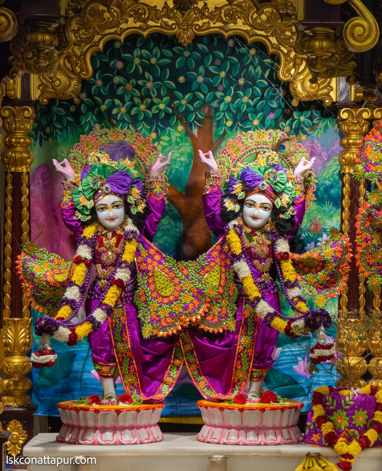 Sringar Darshan photo 6 of 6 — 12 December 2025