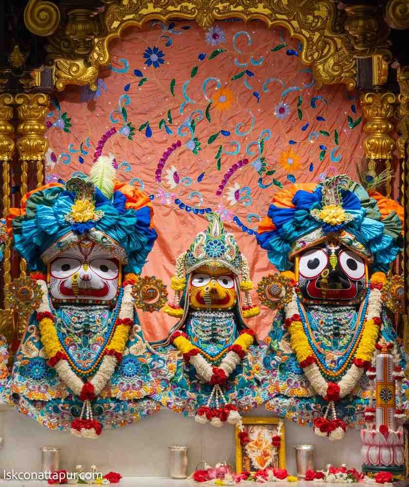 Sringar Darshan photo 2 of 6 — 24 December 2025