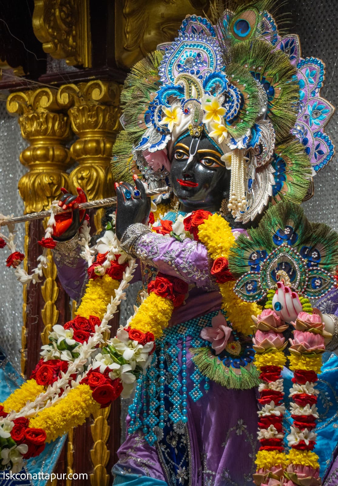 Sringar Darshan photo 6 of 8 — 2 January 2026