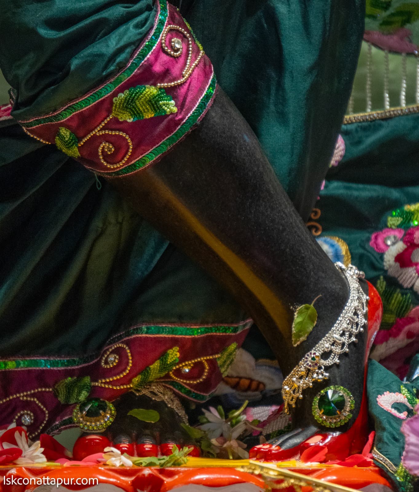 Sringar Darshan photo 6 of 6 — 7 January 2026