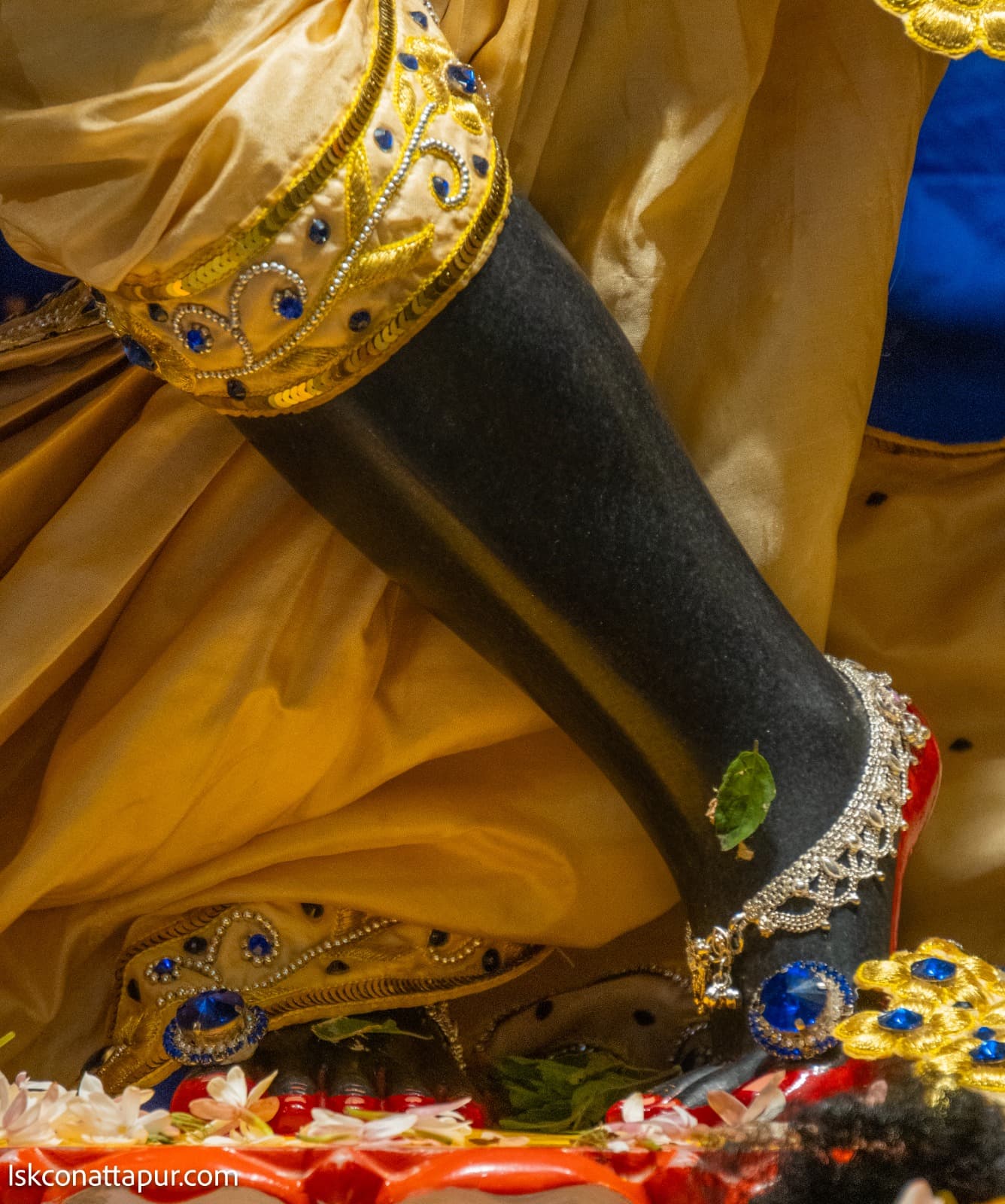 Sringar Darshan photo 2 of 6 — 9 January 2026