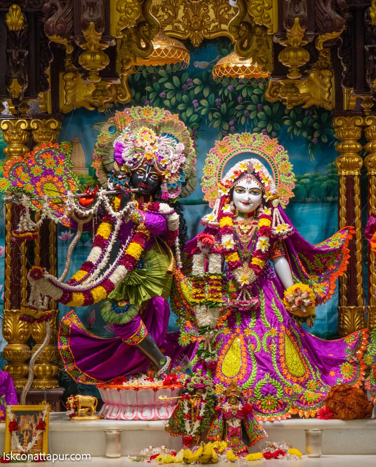Sringar Darshan photo 1 of 6 — 10 January 2026