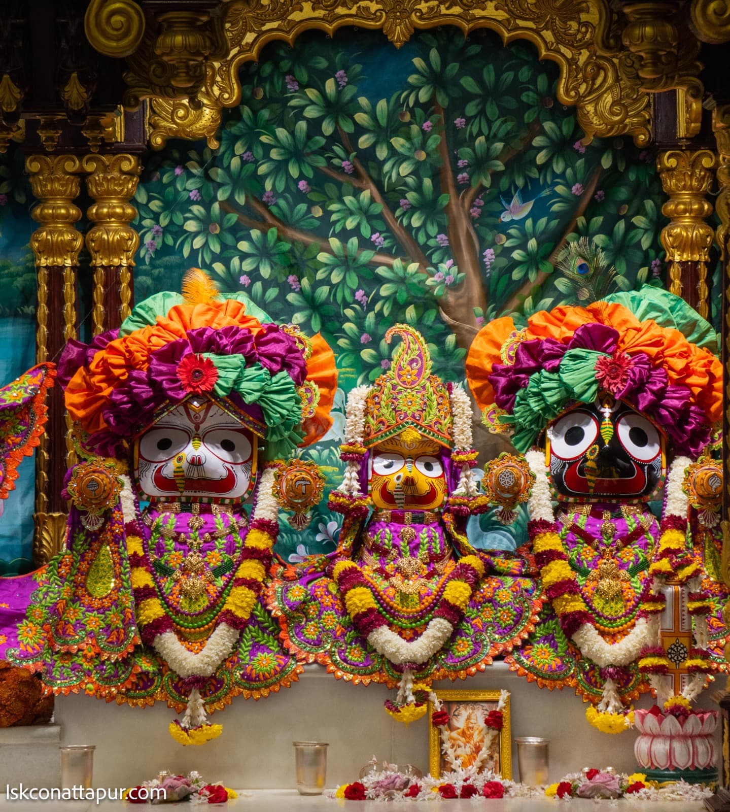 Sringar Darshan photo 3 of 6 — 10 January 2026