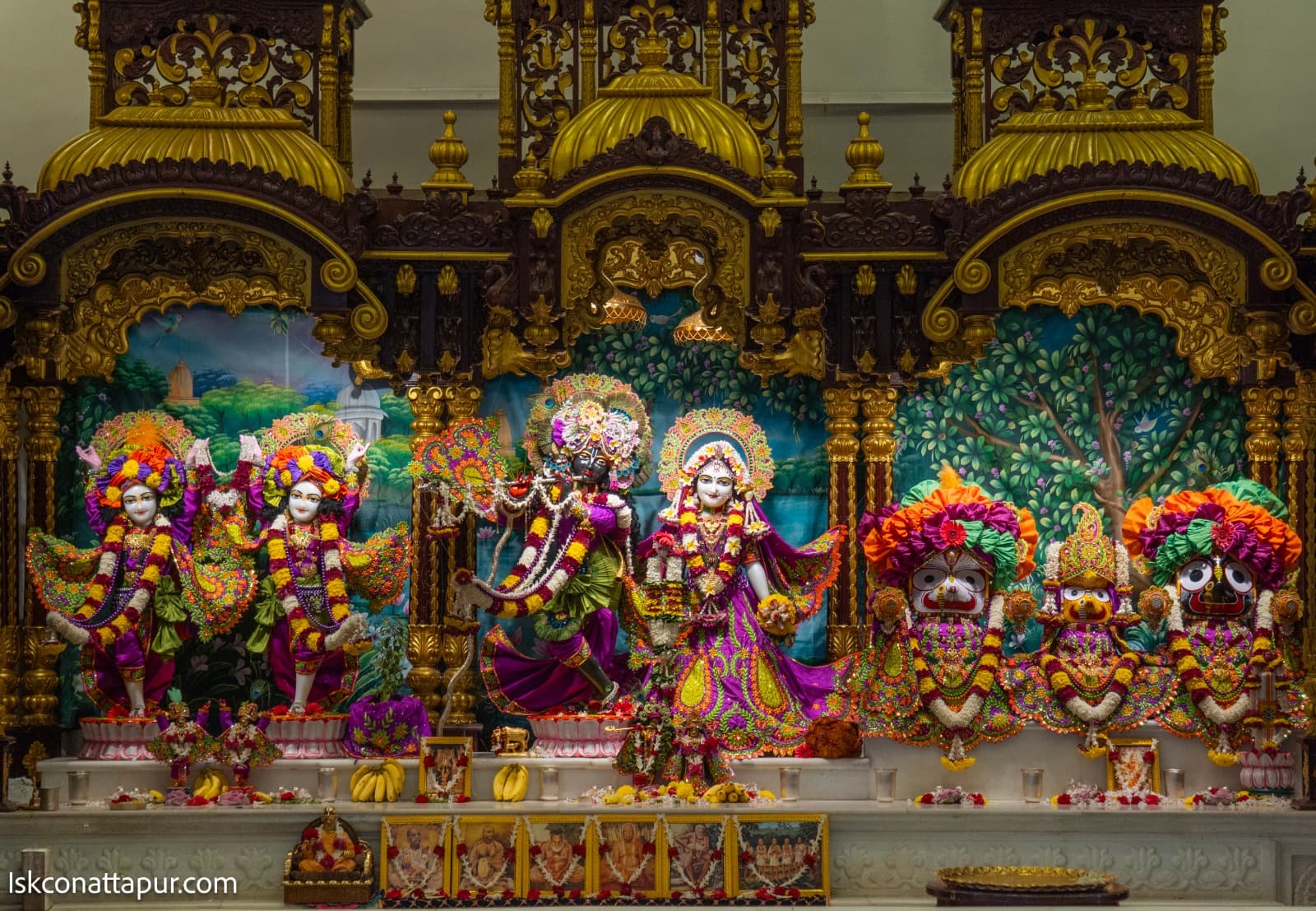 Sringar Darshan photo 5 of 6 — 10 January 2026